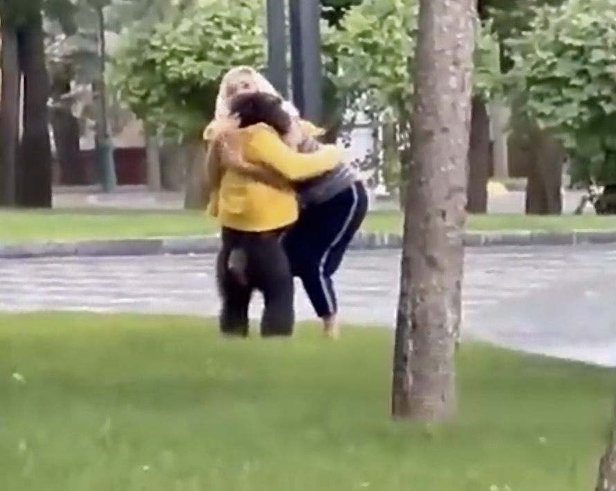 Veja o vídeo fofinho do chimpanzé em fuga nas ruas de Kharkiv (que só regressou a casa a troco de um impermeável)