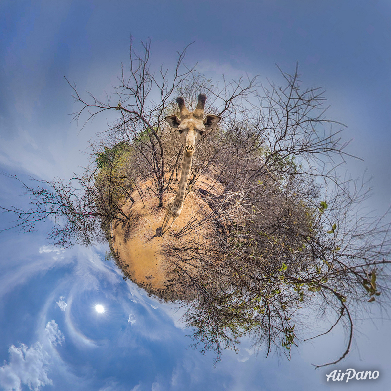 Sushi, bowls saudáveis e bolos pecaminosos. Cabe tudo neste espaço que lhe leva a comida a casa