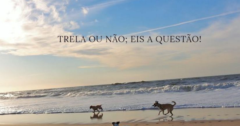 22 acessórios até 20€ para brilhar num casamento