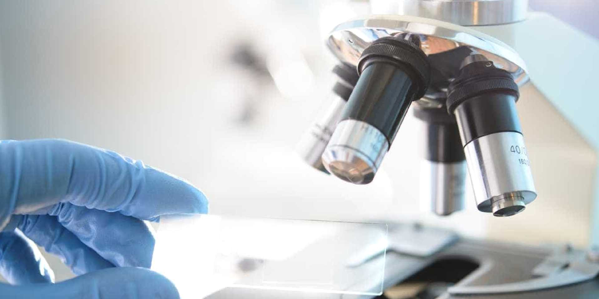 Conselho Europeu de Inovação atribuiu 5,2 milhões de euros a instituições científicas portuguesas