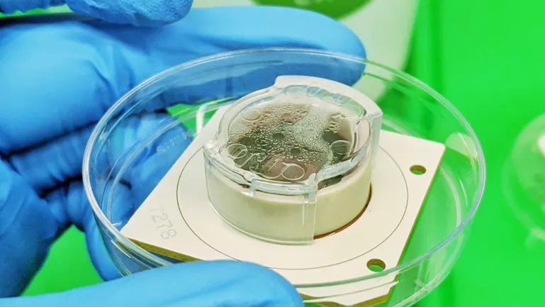 Nunca diga estas 4 frases durante um relacionamento (ou vai mesmo ter problemas)