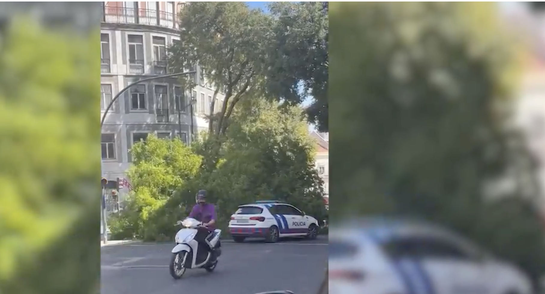 Árvore gigante cai na estrada perto do Saldanha, no centro de Lisboa