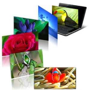 13 looks que provam que Kate Middleton tem muito estilo em Wimbledon