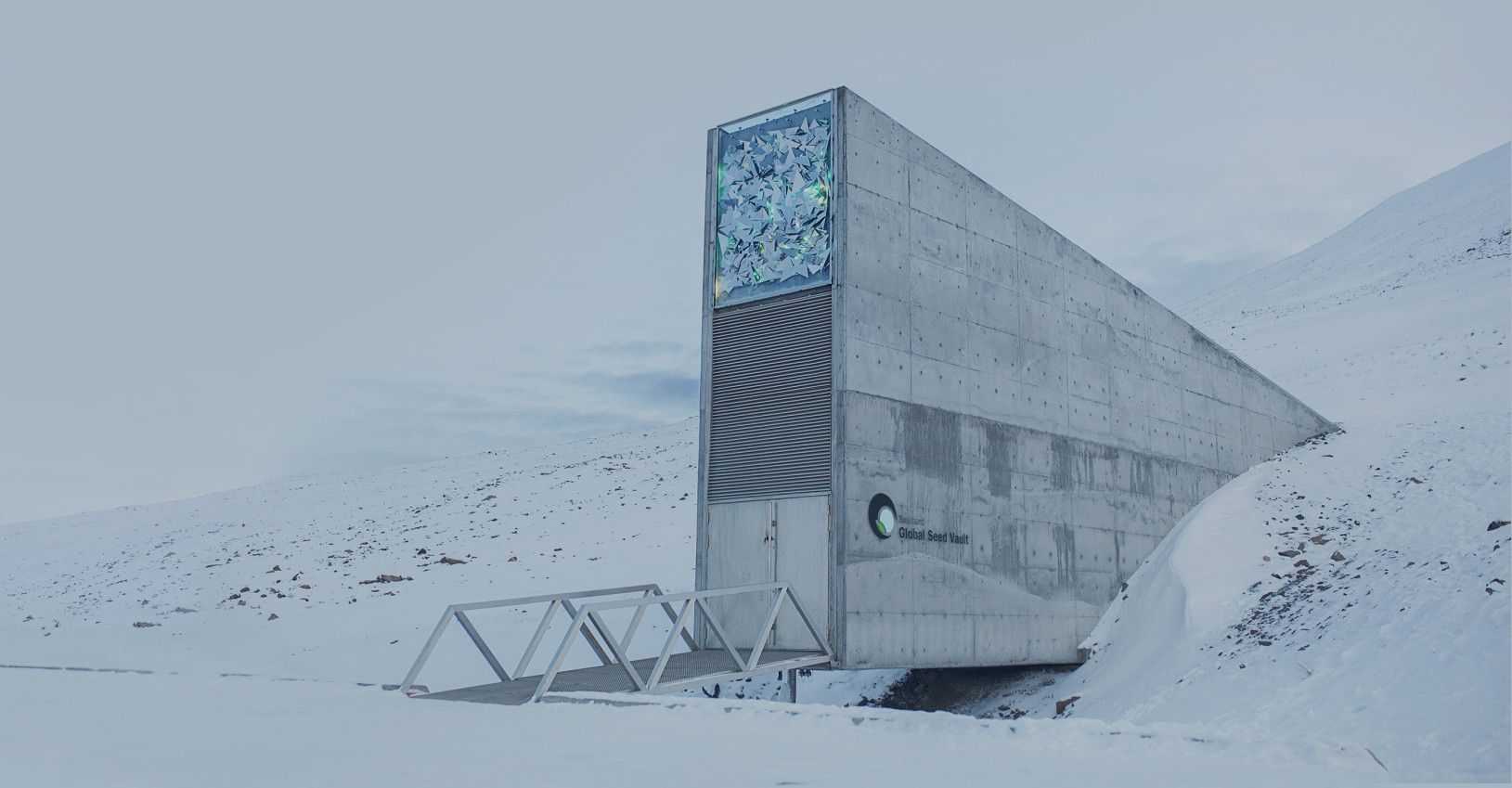 Ana Galvão. “A pureza com que os miúdos veem os animais como um ser igual é incrível”