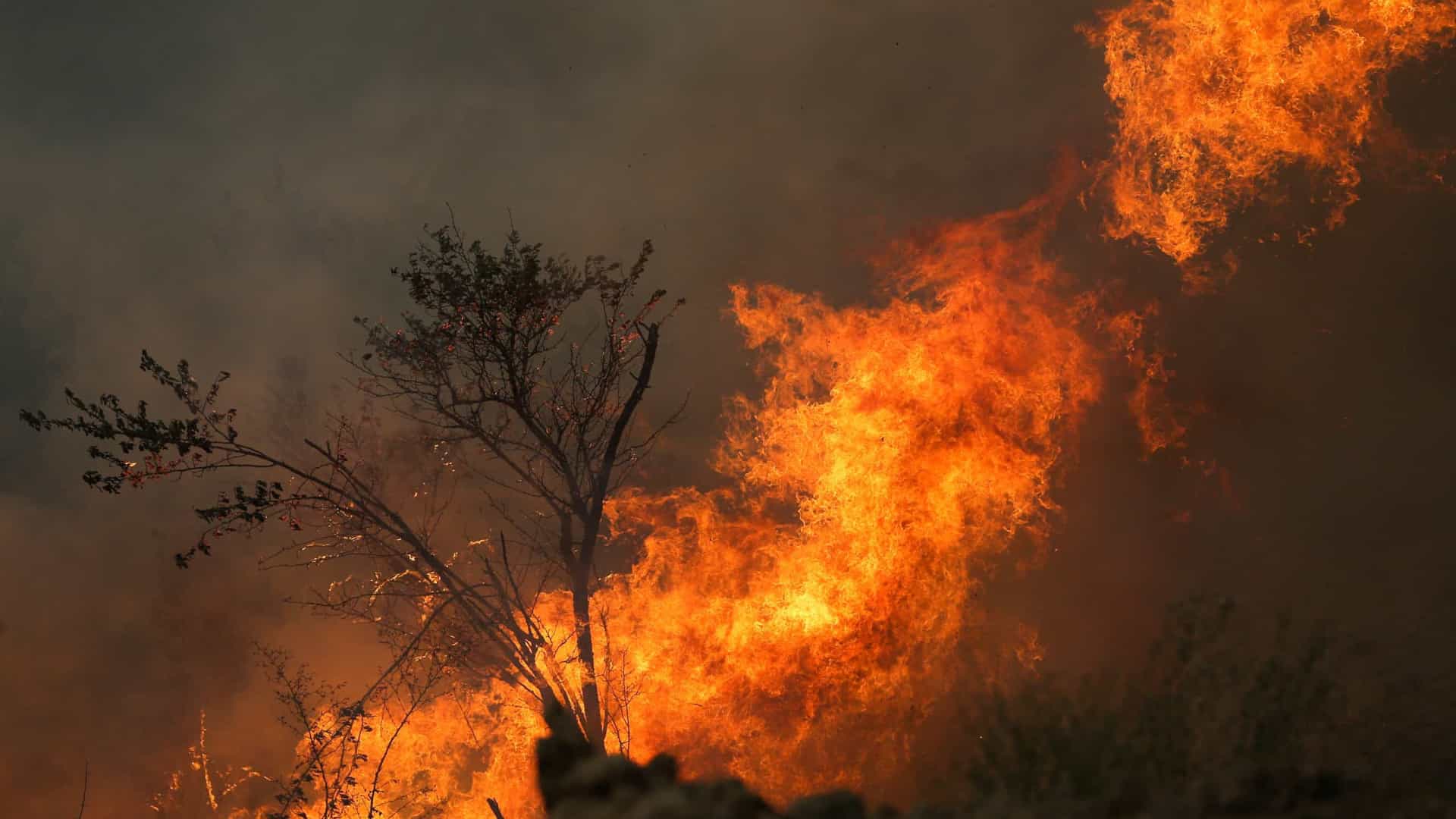 Incêndios em Portugal e Espanha fazem disparar emissões de CO2. Fumo chegou a várias regiões europeias