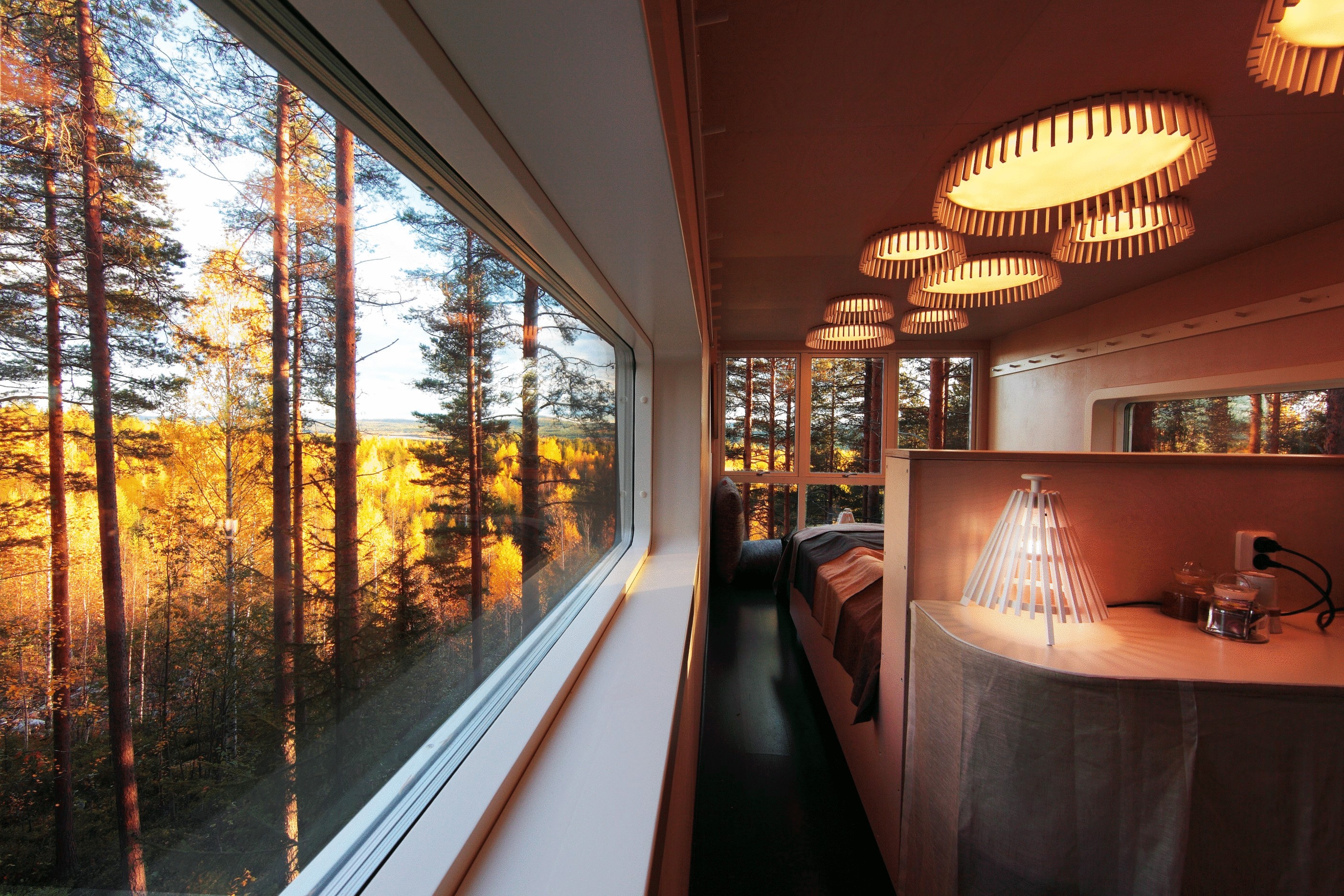 Парящие номера на дереве. Отель Tree Hotel Швеция Харадс. Эко отель Treehotel в Швеции. Отель на дереве Tree Hotel, Швеция. Tree Hotel Швеция Харадс кабина.
