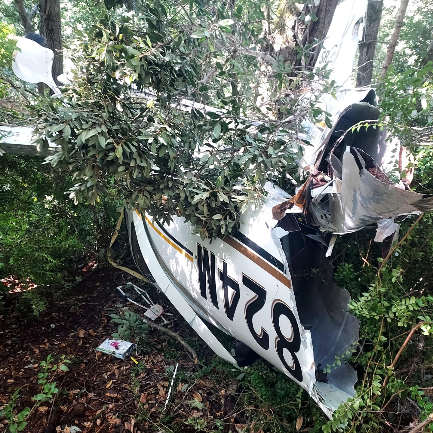 Pais e criança de 2 anos sobrevivem a acidente de avião graças a paraquedas. Veja as fotos