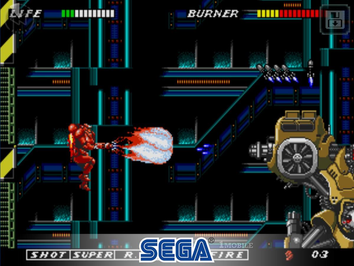 Os 5 momentos em que Bernardina foi rainha dos reality shows