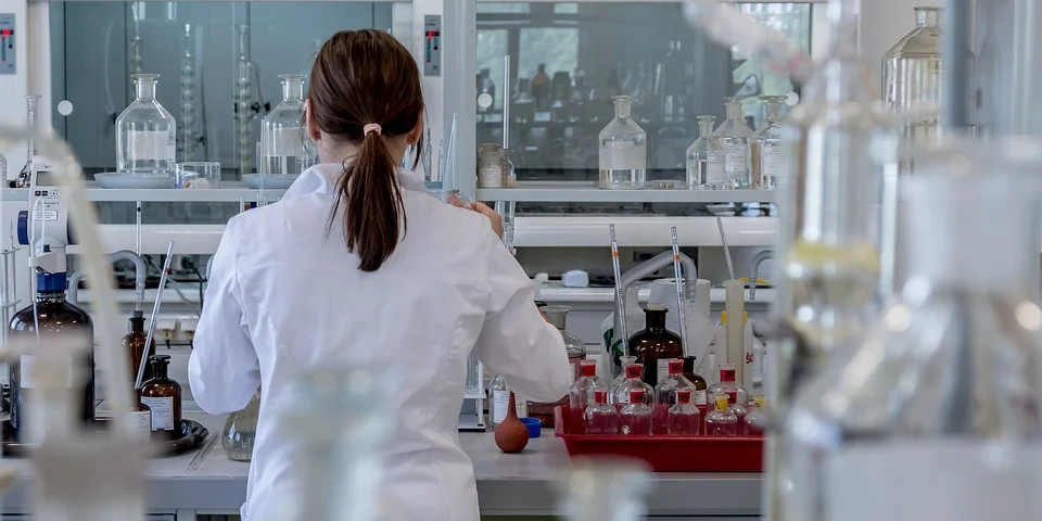 1.488 bolsas de investigação para doutoramento atribuídas pela FCT em 2023. Mais de metade a mulheres