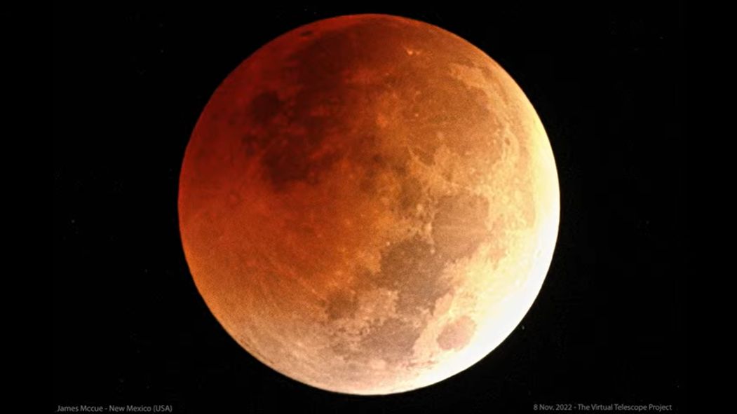 A nova obra de arte natalícia do Ritz faz com que todos voltemos a ser crianças. Saiba como