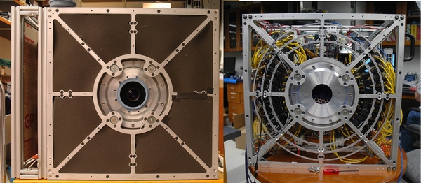 12 coisas em que deve pensar antes de adotar um cão ou um gato