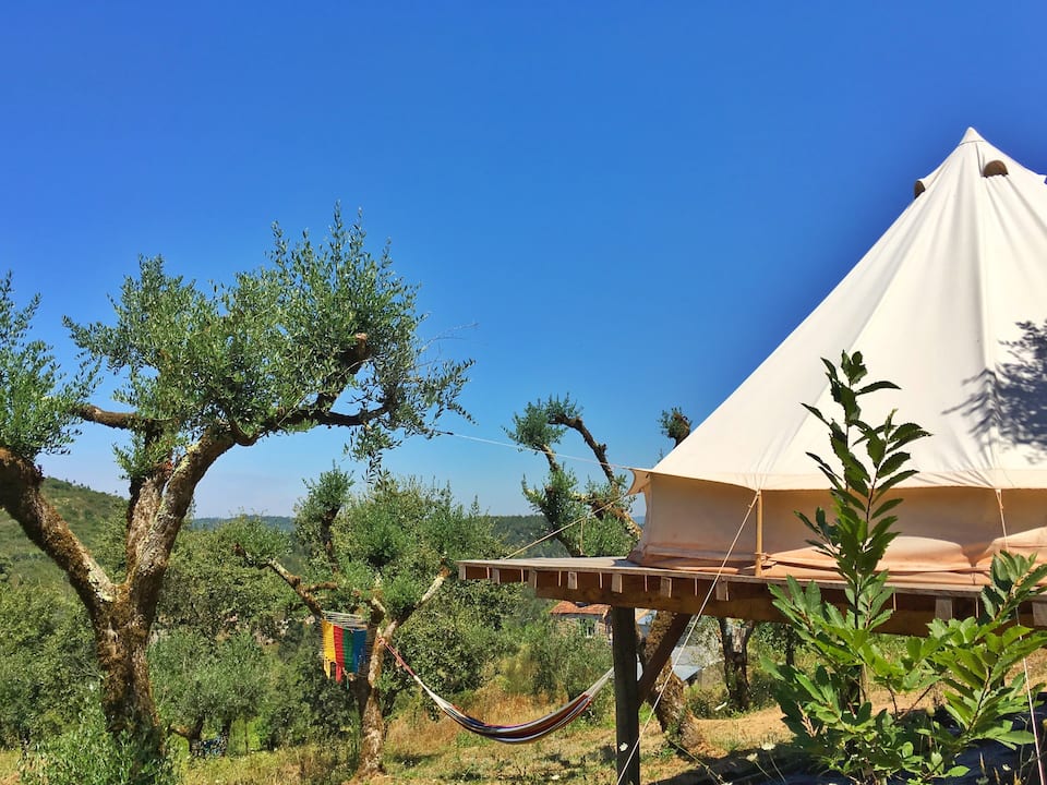 Esqueça os hotéis. Do autocarro à casa na árvore, 6 formas de sair da rotina nas férias