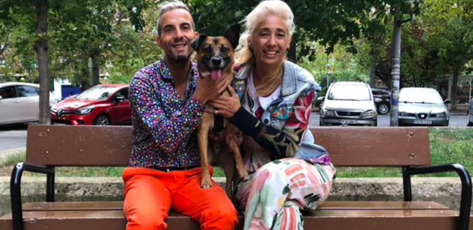 Casal cria petição para poder ter o cão no casamento. Já conseguiram mais de 30 mil assinaturas