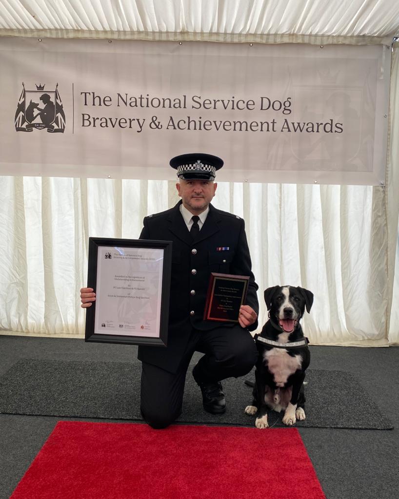 Este cão foi rejeitado por três donos. Agora, é um dos melhores cães polícia e especialista em droga e armas