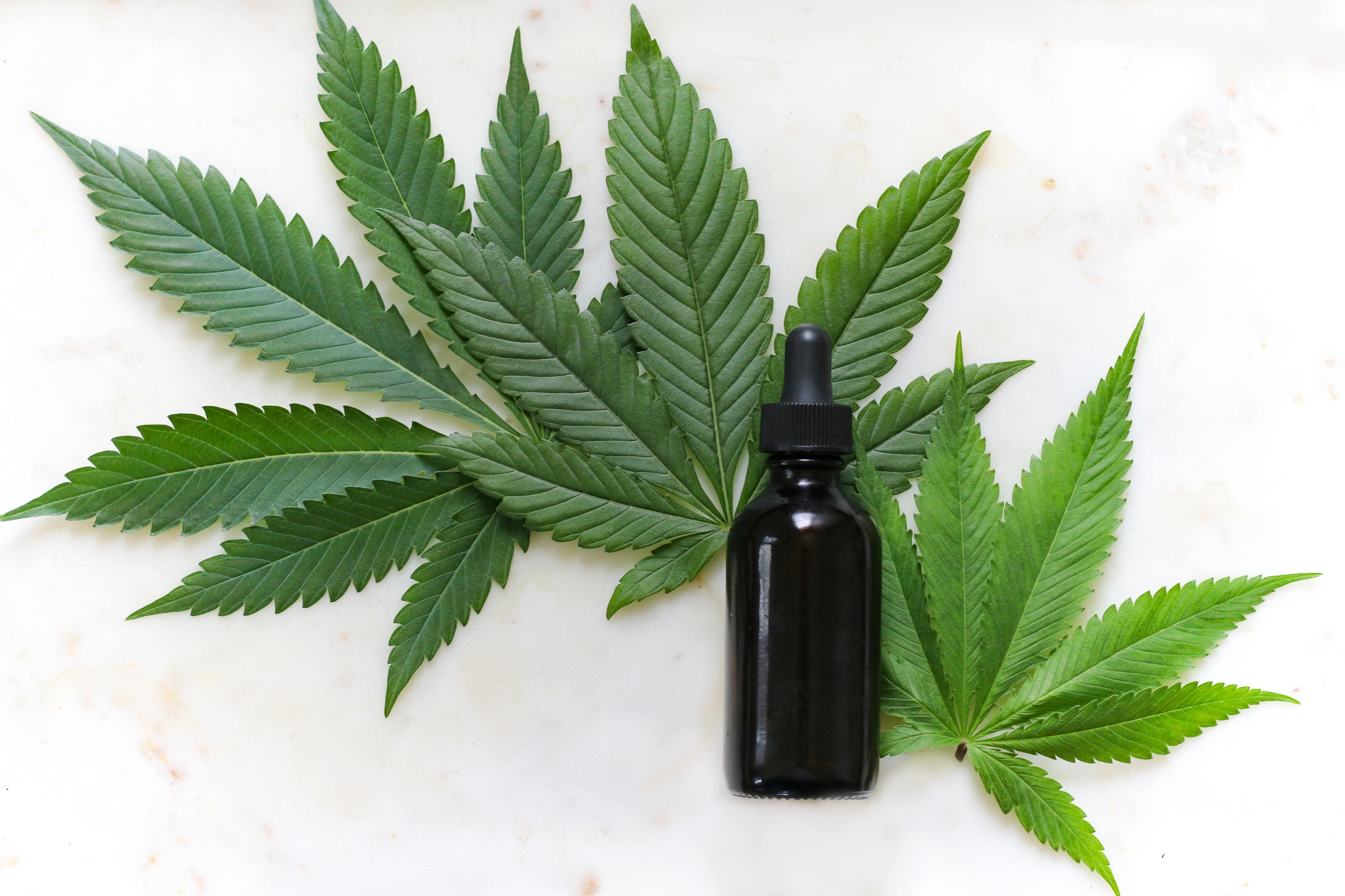 O uso do CBD no mundo da cosmética — não há consenso, mas há resultados