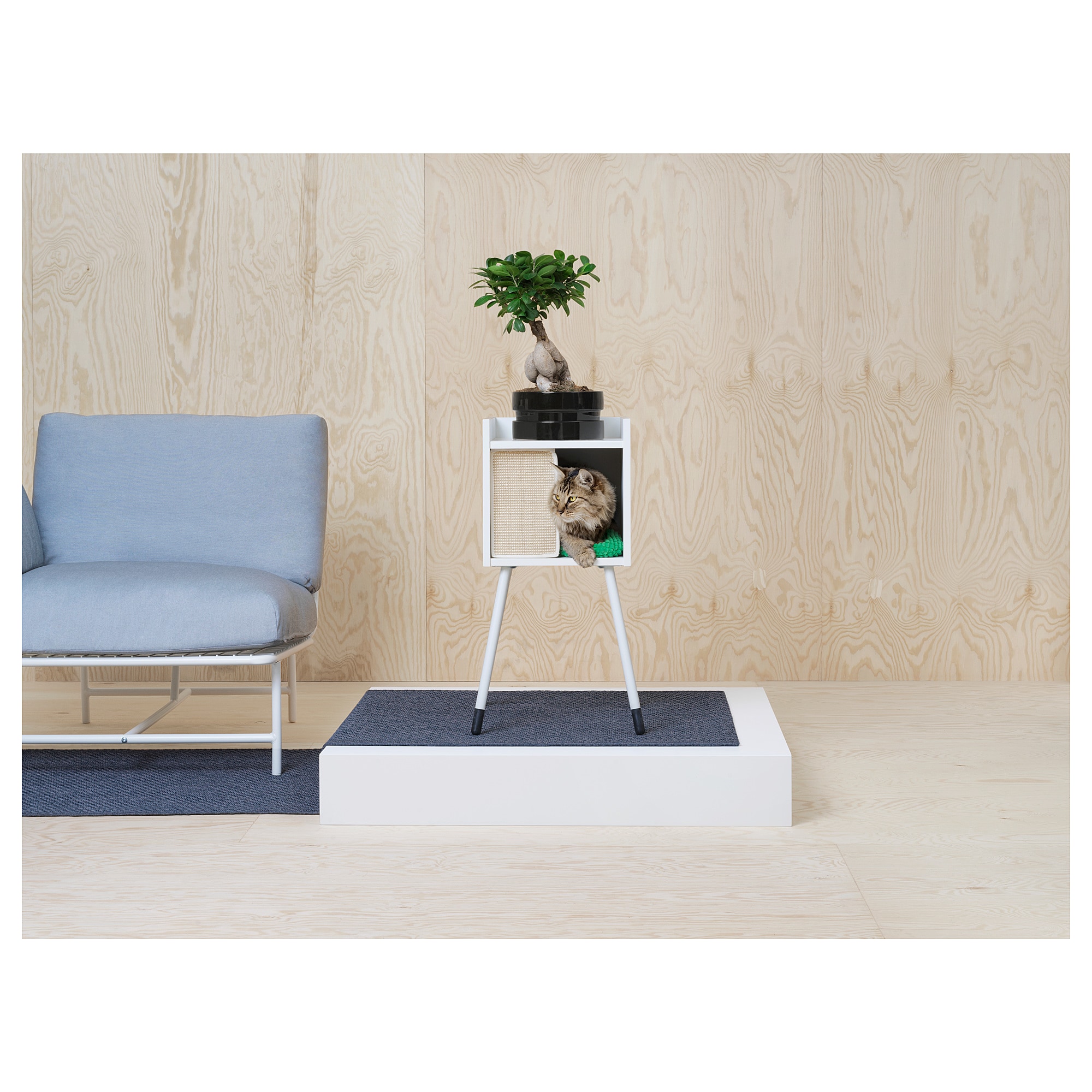 Os brinquedos e acessórios mais originais para os gatos