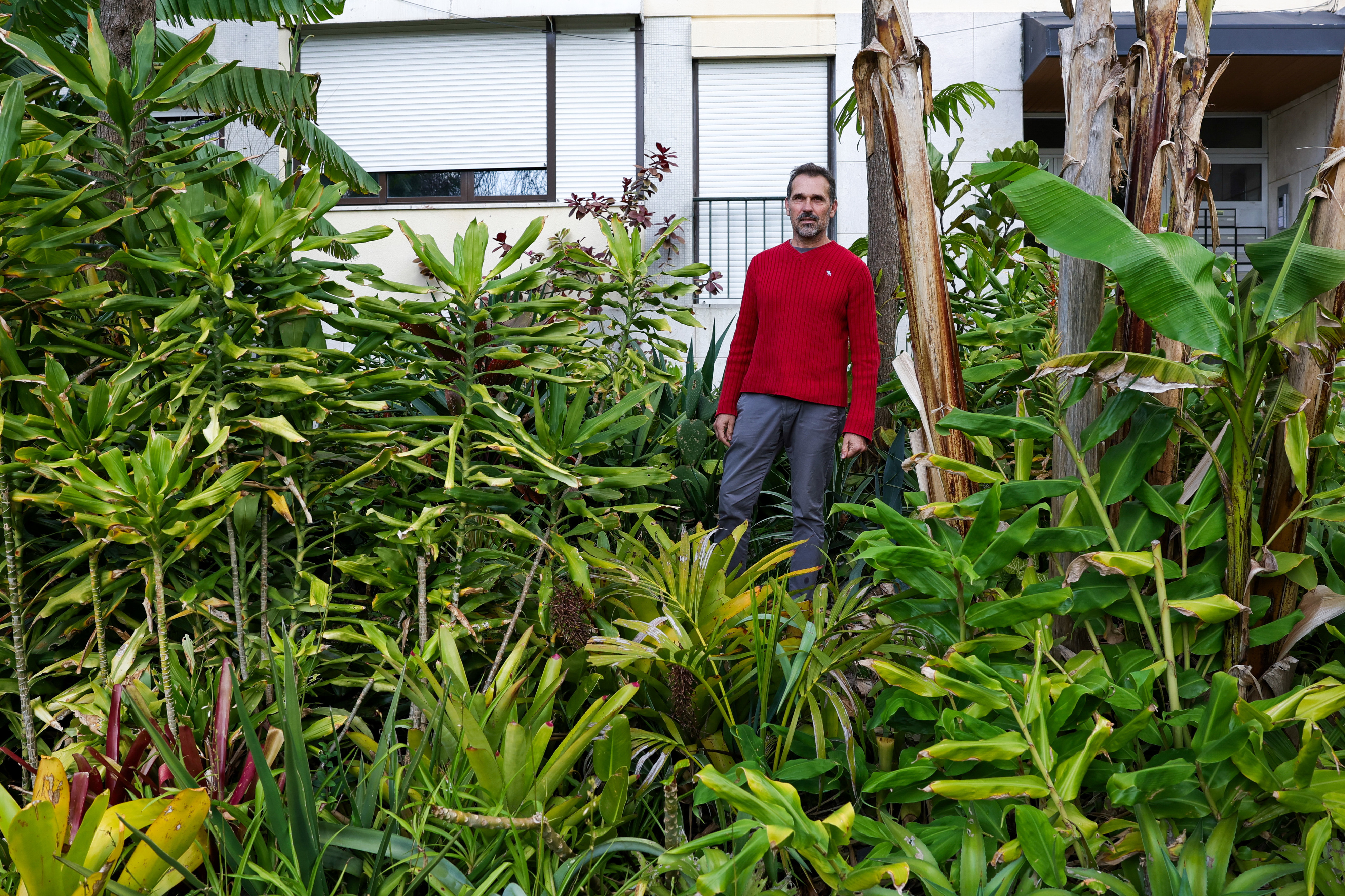 "Jardineiro irrequieto" devolve beleza a canteiros vazios em Lisboa com jardins de plantas doadas