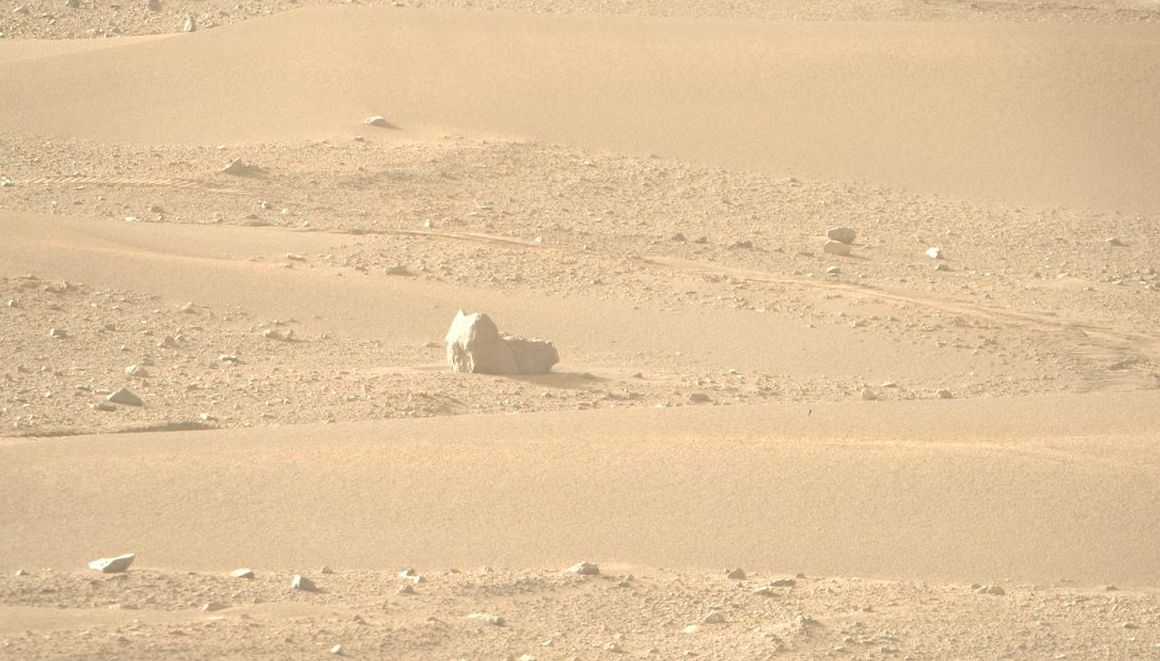 Um gato em Marte na popular posição “loaf”? Por enquanto não passa de uma rocha