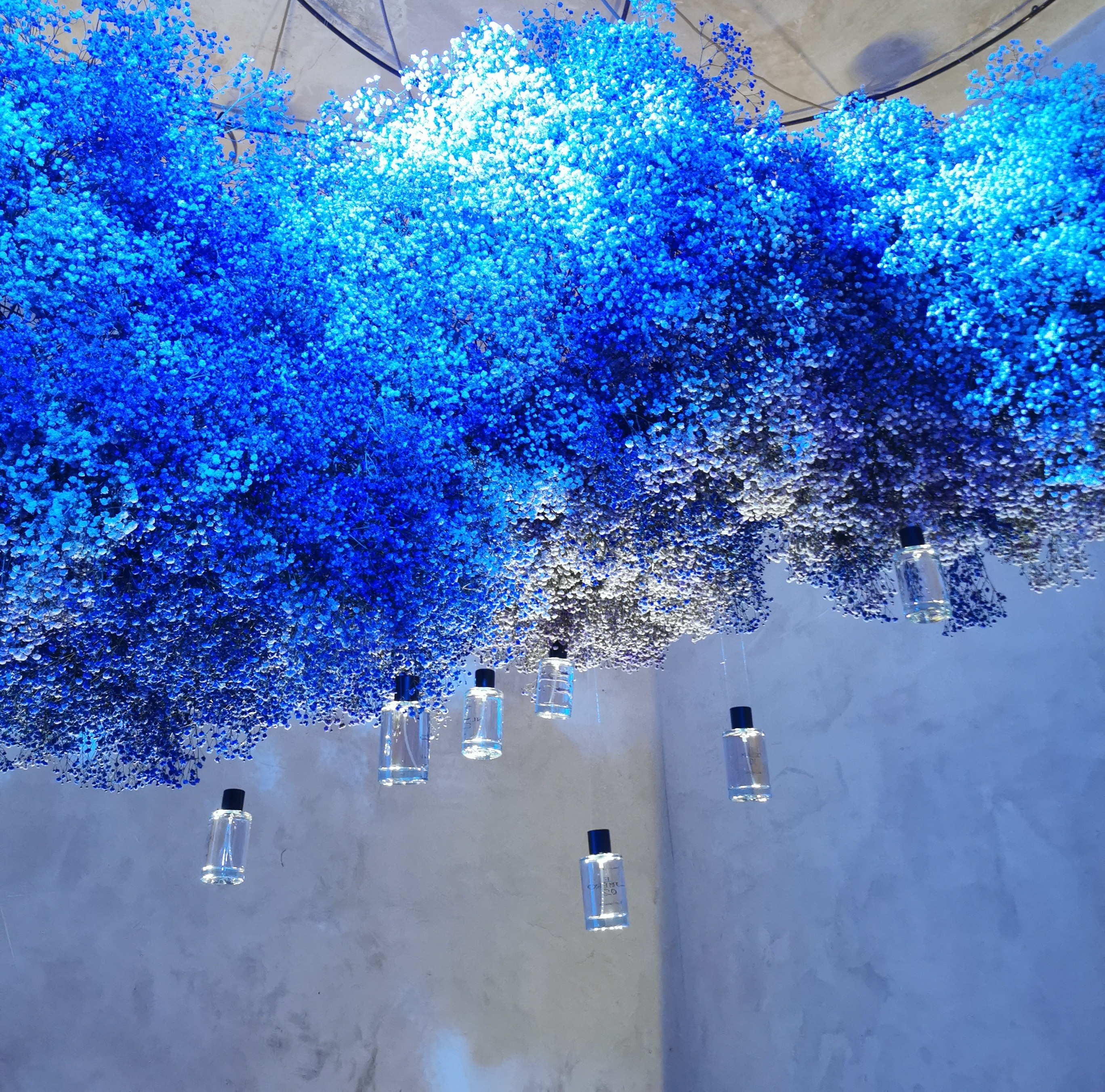 Parfois lança coleção de perfumes para todos os gostos, desde 9,99€