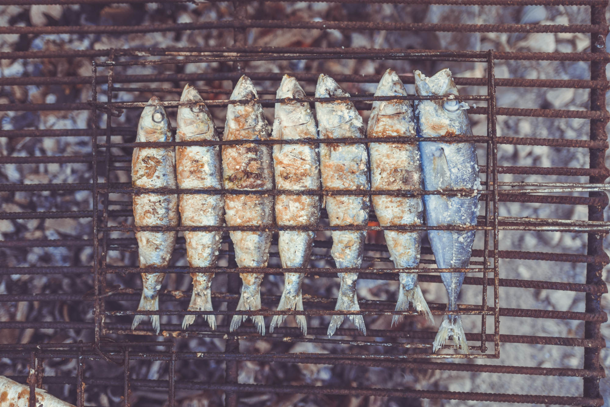7 restaurantes imperdíveis no Algarve para comer peixe grelhado