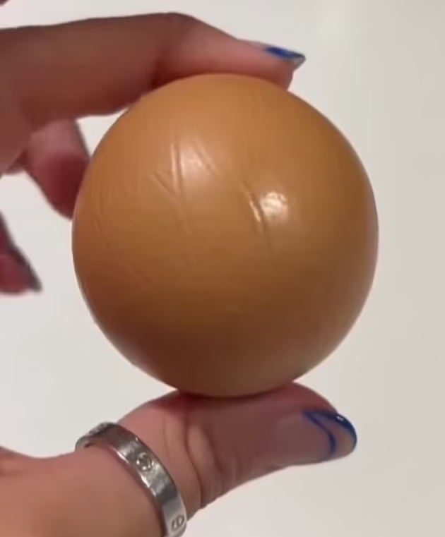 Este ovo perfeitamente redondo encontrado numa caixa é uma raridade. E pode render um bom dinheiro