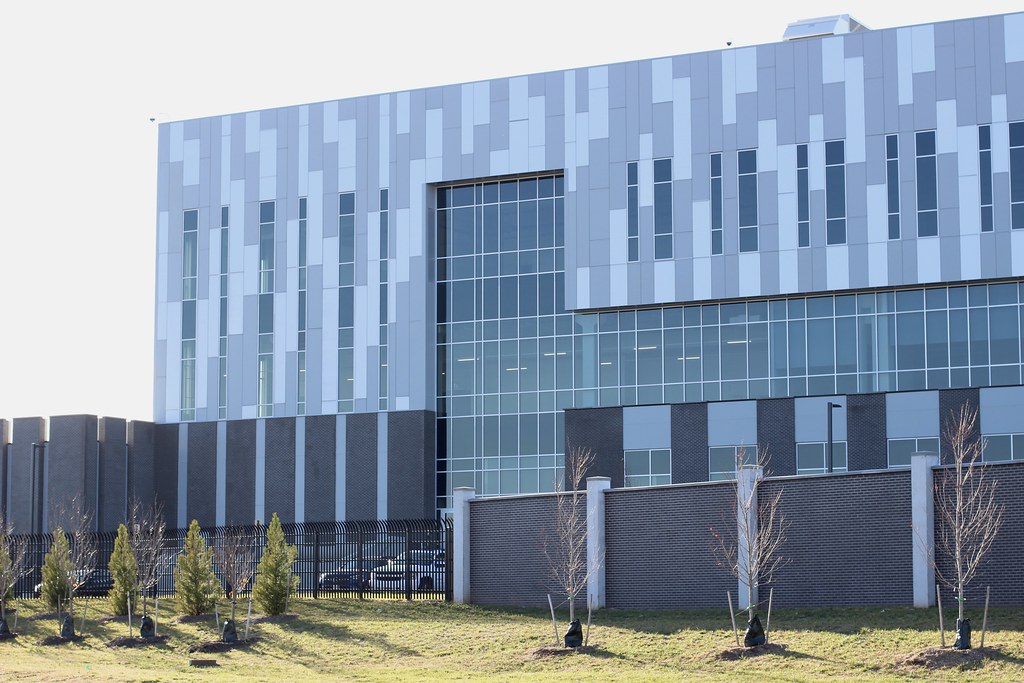 Ambientalistas lutam contra instalação de centros de dados por ameaças à sustentabilidade