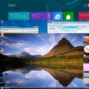 Ljubomir Stanisic encontra cadela perdida depois de pedir ajuda nas redes sociais