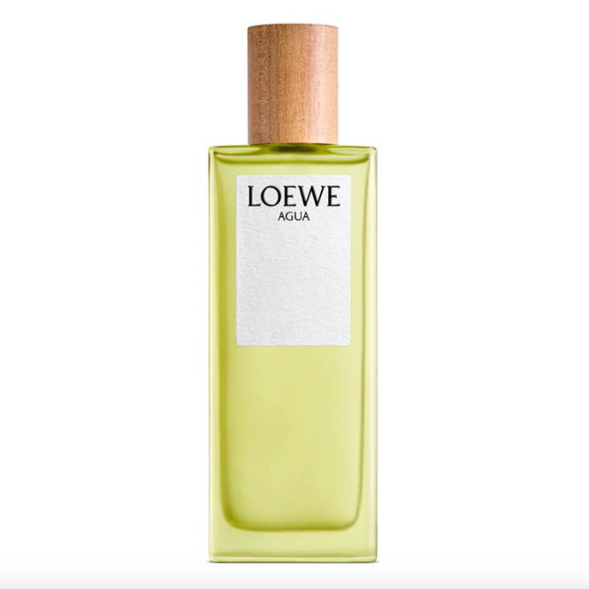 Loewe, Eau De Toilette Agua, 100ml