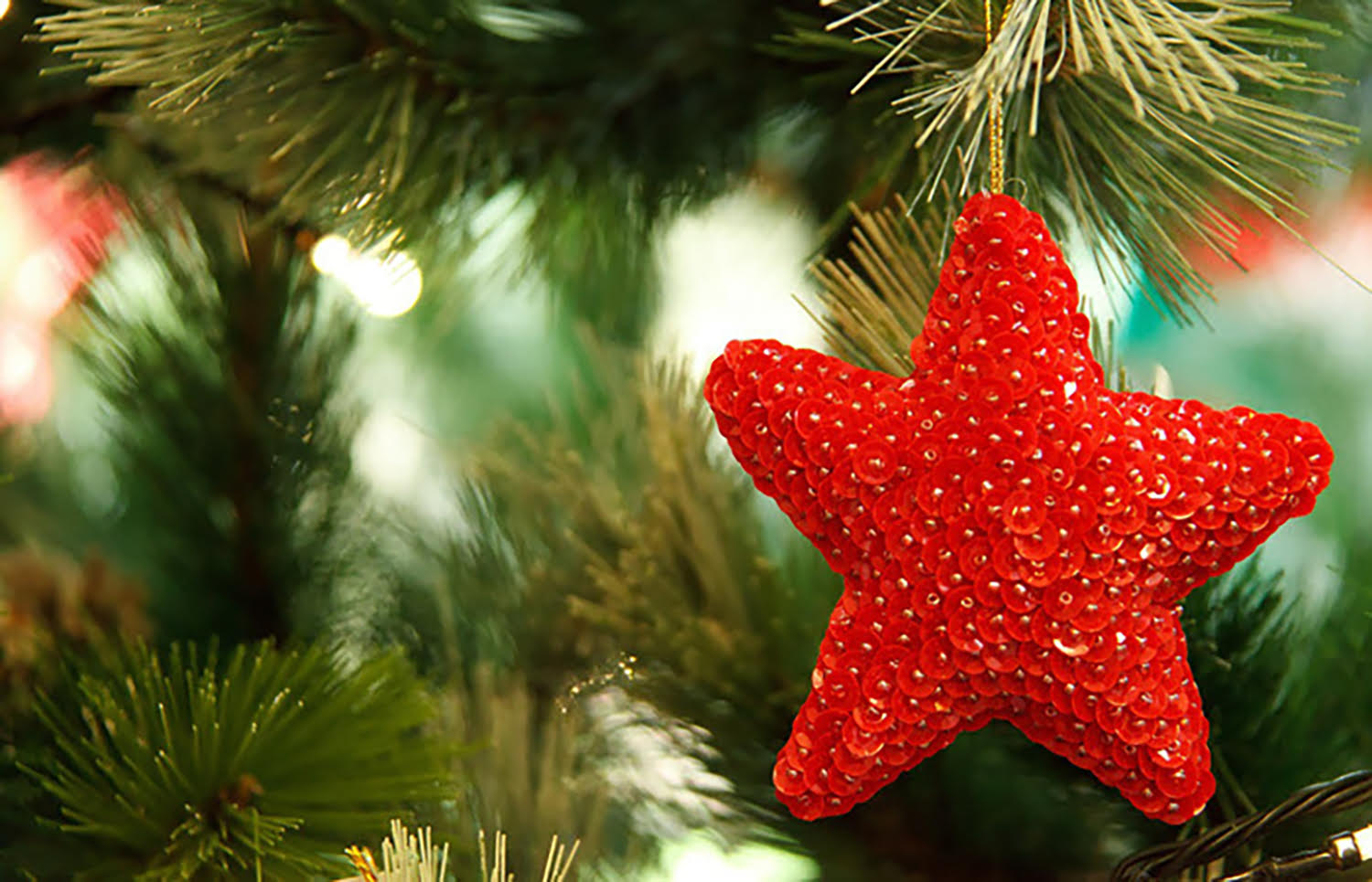 Decorações natalícias que podem ser feitas por nós