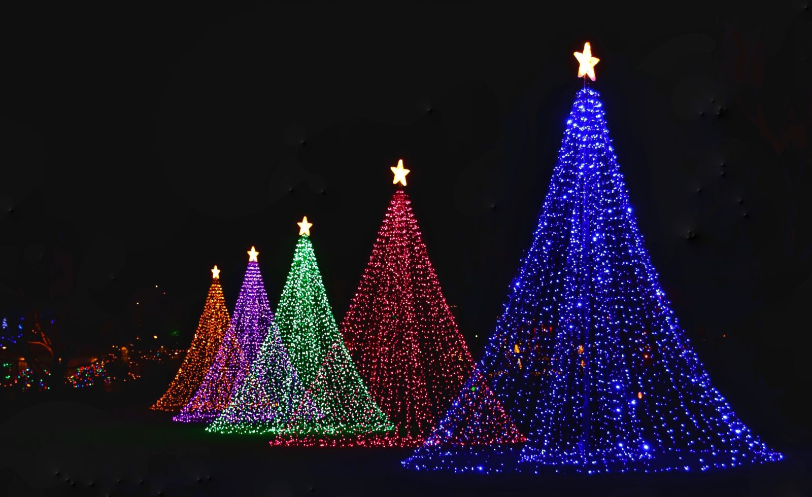 Apagar luzes de Natal e teletrabalho. Eis as medidas para a redução do consumo energético