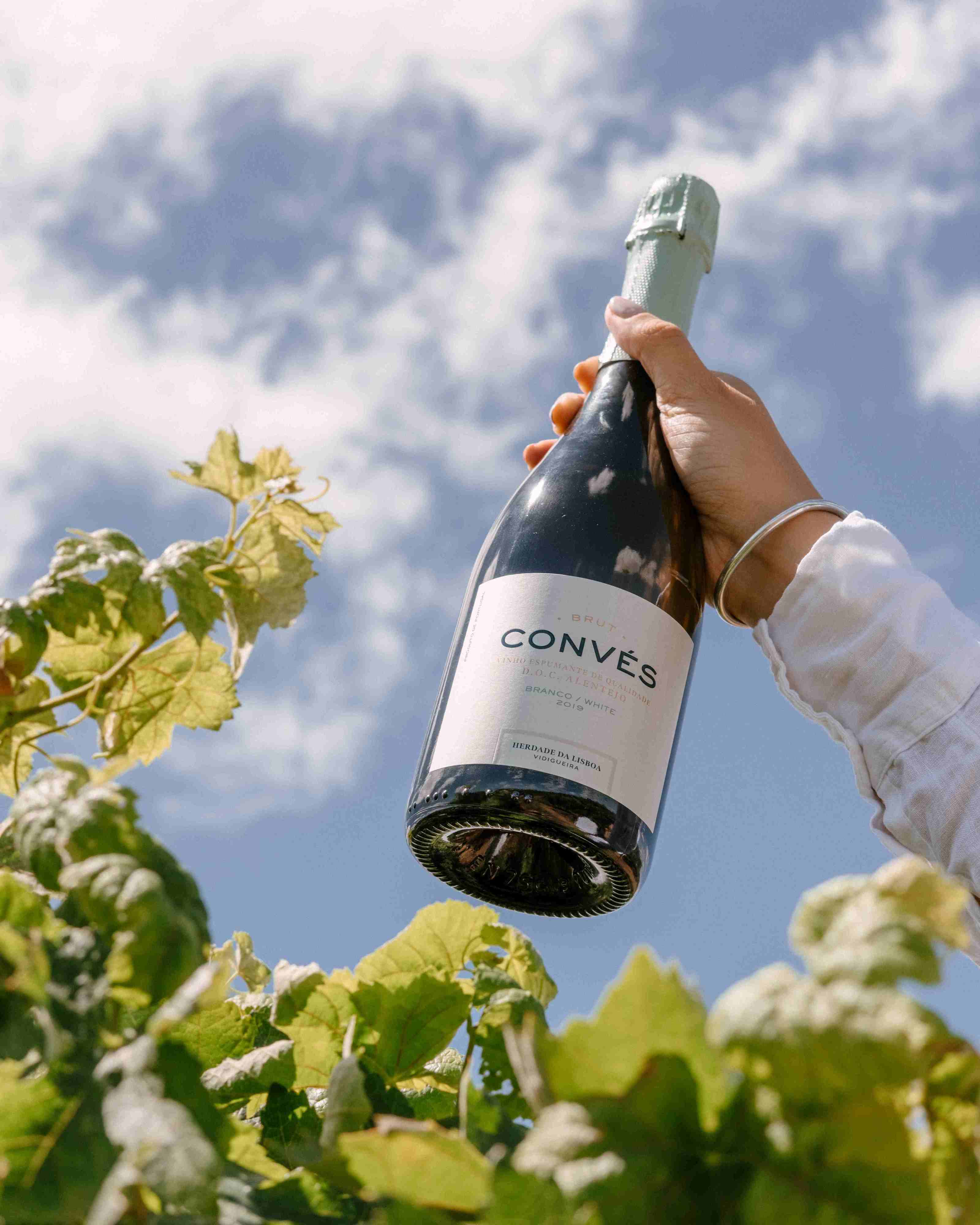 Um dos melhores espumantes do ano é português e só custa 10,99€. Saiba tudo sobre esta bebida vencedora