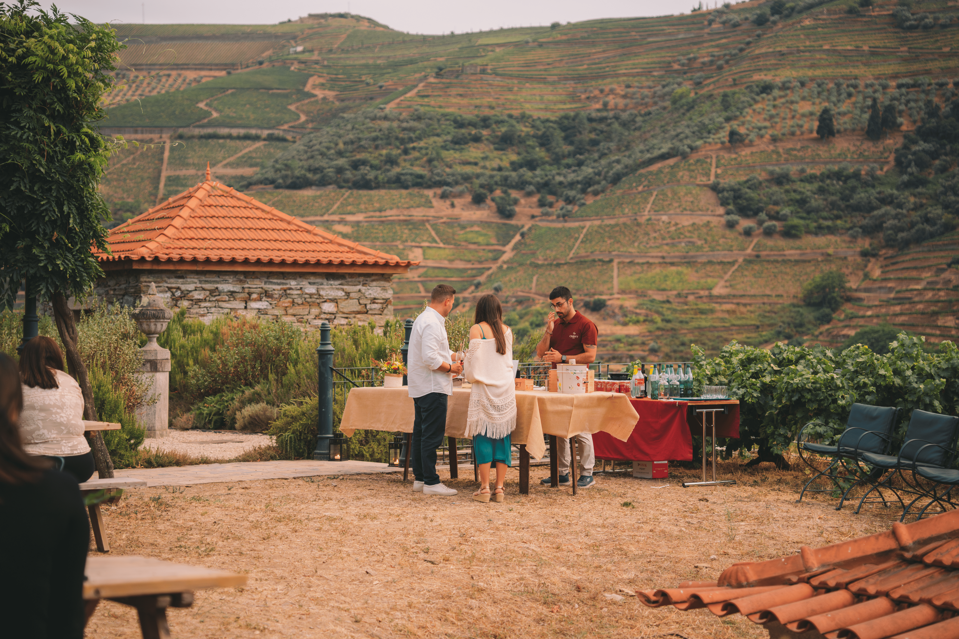 Não sabe onde celebrar as vindimas? O Harvest Party está de volta à Quinta da Roêda. Saiba quanto custa