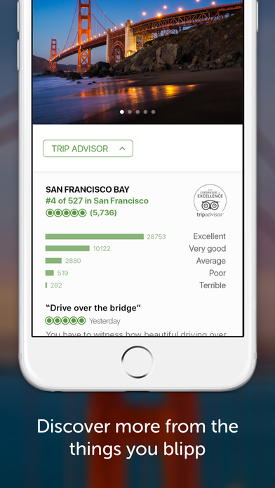 Capitão do Sporting vai ser pai. Saiba quem é a mãe do bebé do jogador (e veja 31 fotos da “leoa”)