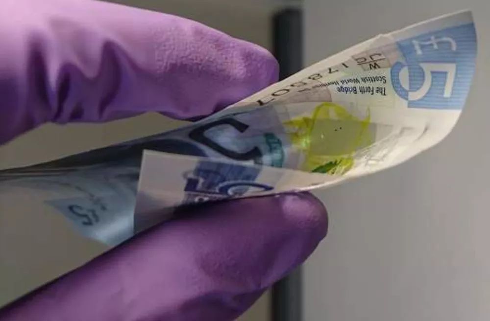 Ljubomir mete o turbo em “Hell’s Kitchen”. “A brincar? Vai mas é brincar para casa!”