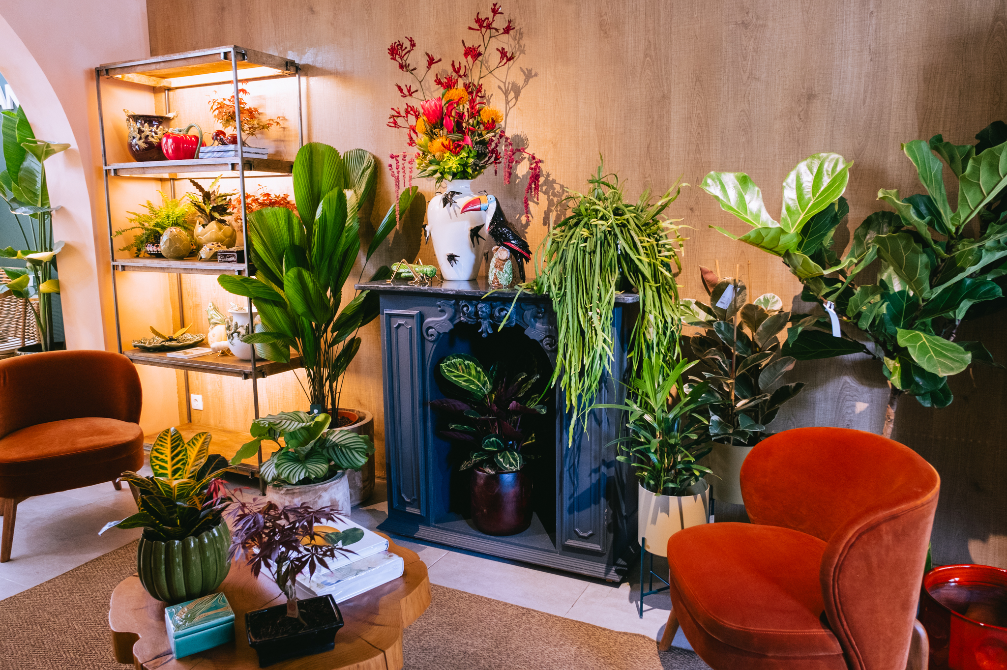 Aprenda a cuidar das suas plantas nestes workshops (mesmo a tempo de decorar a casa para a Primavera)