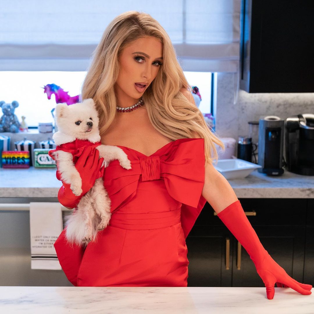 Programa de culinária de Paris Hilton é cancelado pela Netflix e não passa da primeira temporada