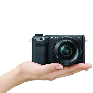 Dia Mundial do Veganismo. Pedimos a três vegans para mostrarem as marmitas (e afinal não comem só alface)