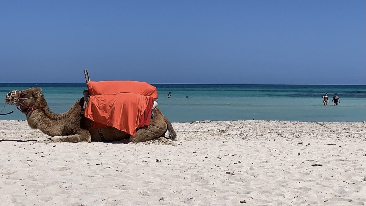 Djerba, a “ilha mística” que tem de visitar. Conheça este destino paradisíaco a 2 horas de Portugal