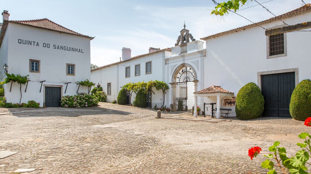 Este Carnaval, vista-se de ouriço e coma quantos quiser na Quinta do Sanguinhal