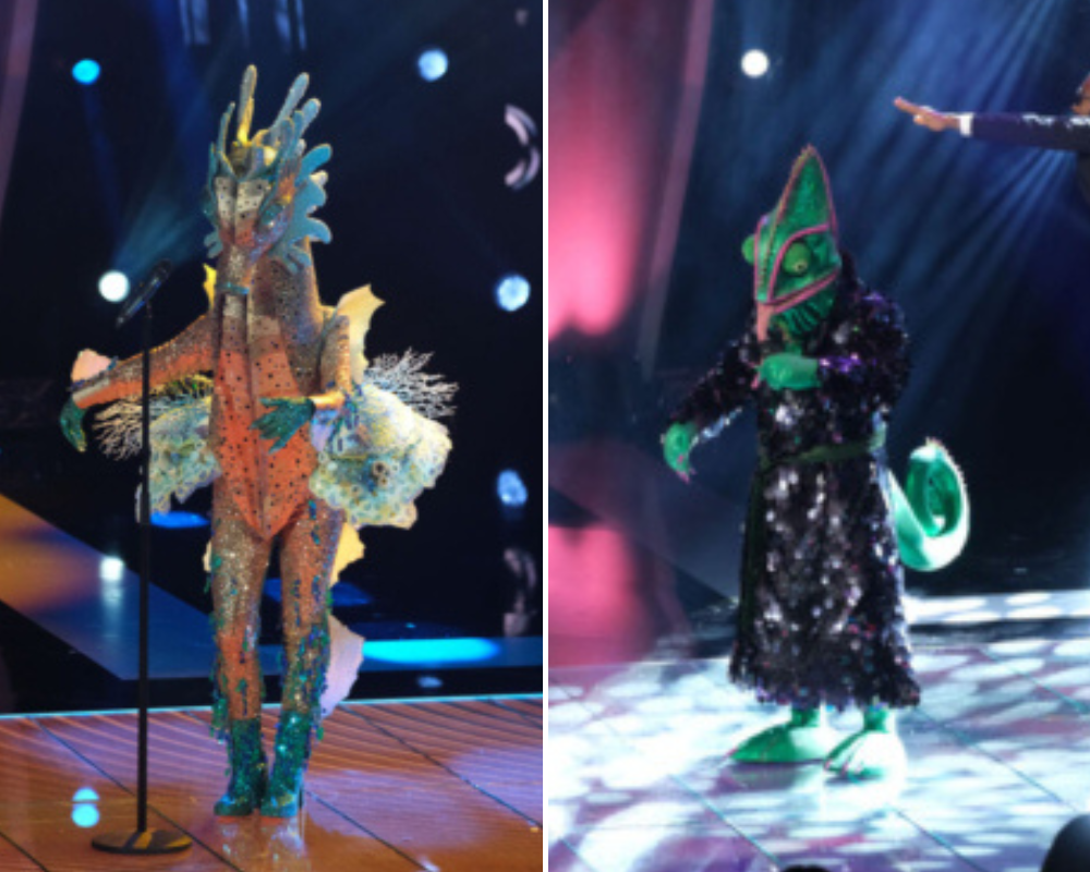 “A Máscara” já estreou. Saiba que famosos se escondiam atrás do Cavalo Marinho e do Camaleão