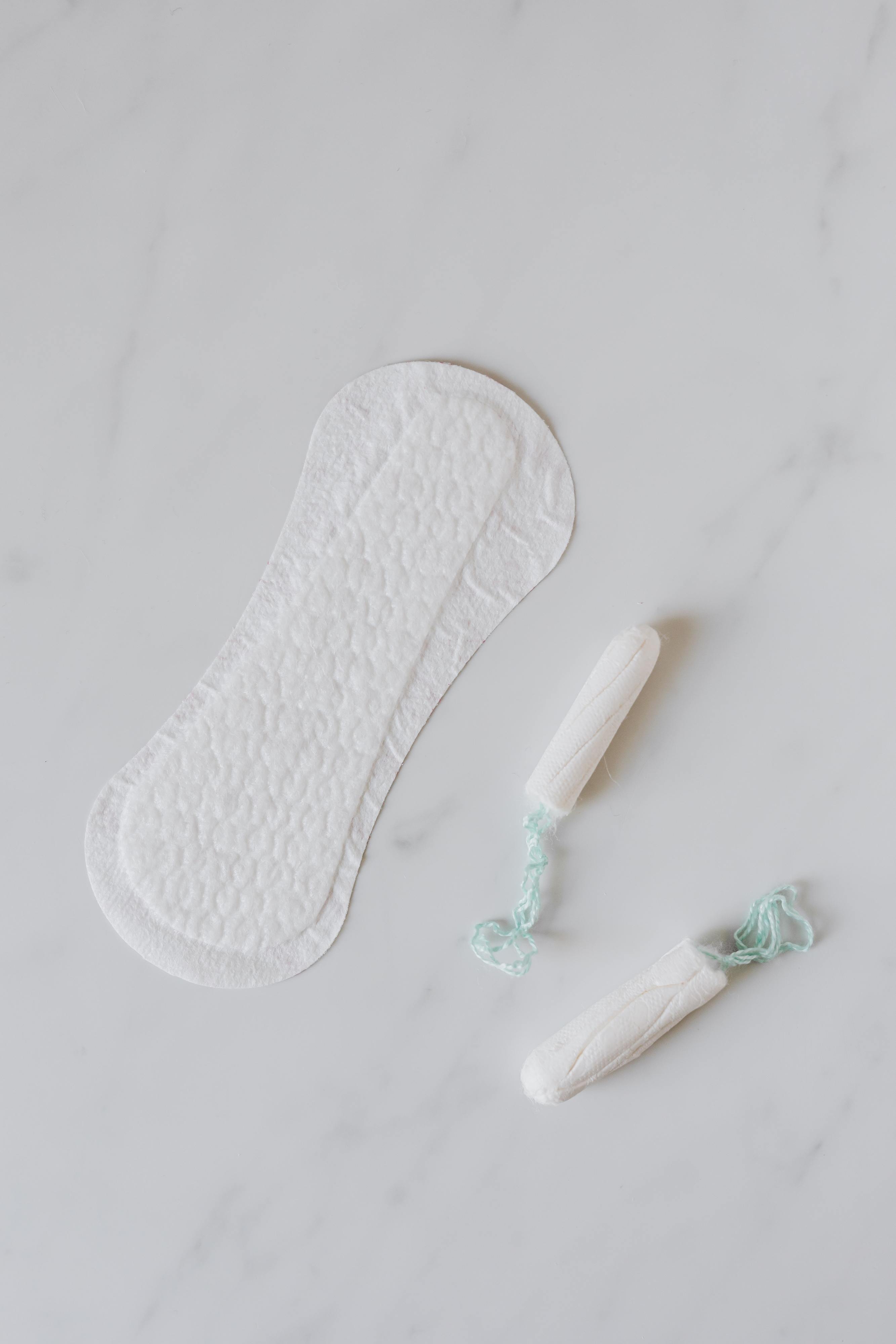 Governo rejeita proposta de criação de licença menstrual. PS, PSD, IL e Chega votaram contra