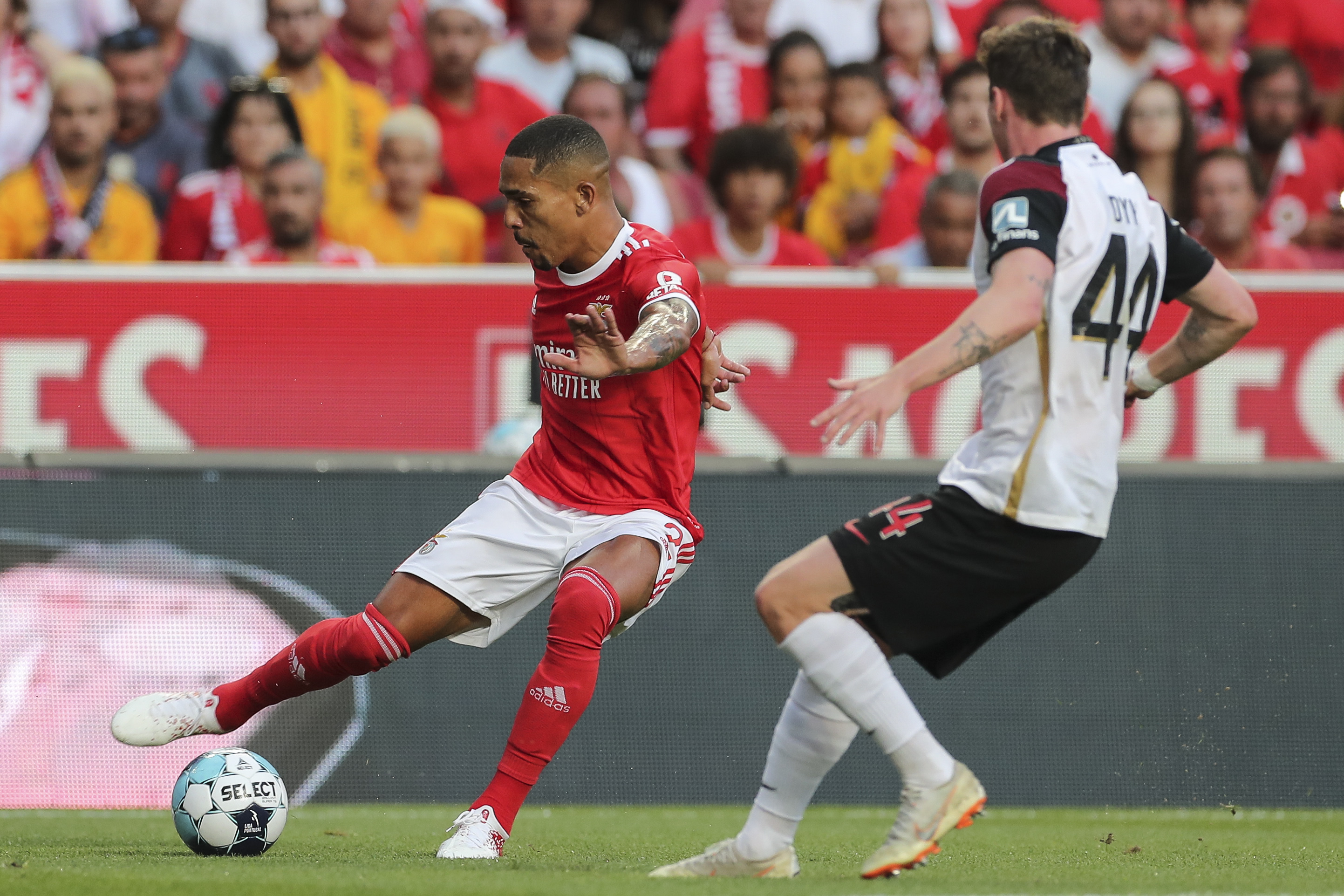 Benfica bate Midtjylland e confirma classificação no play-offs da Champions  League