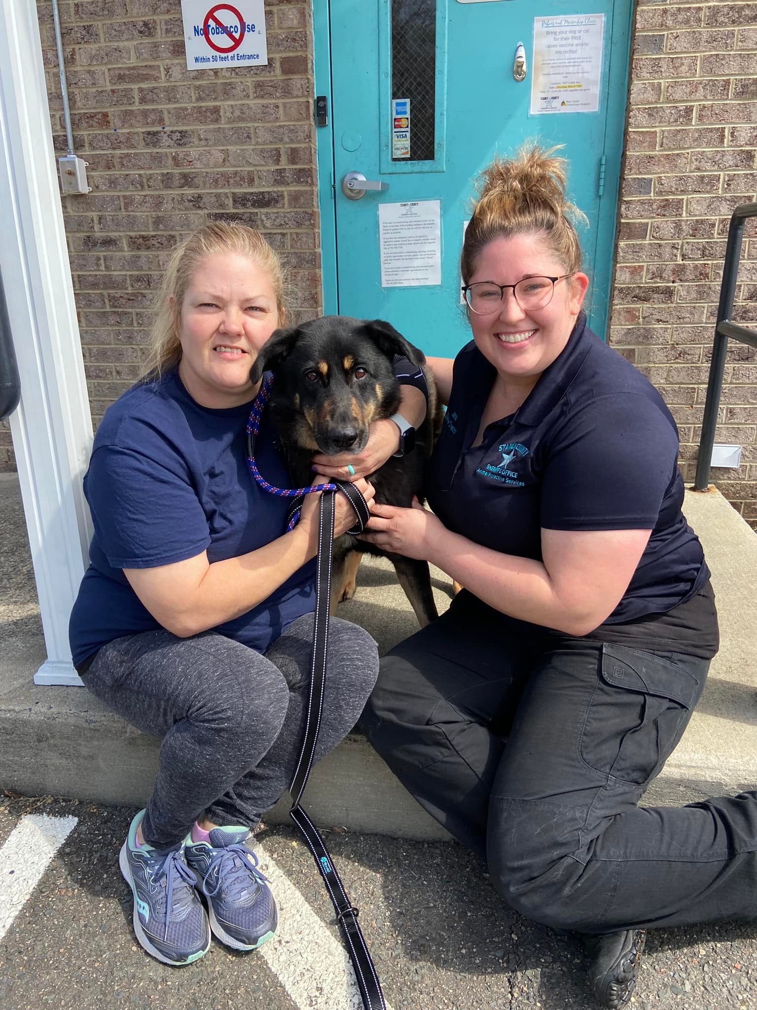 Oscar. A história do cão que foi abandonado depois de os donos o terem identificado como gay