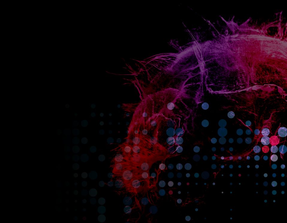 Ciberataques em Portugal crescem. Educação e saúde entre os sectores mais afetados