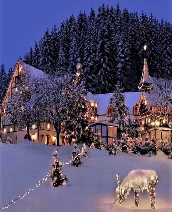 Viajar para a terra do Pai Natal a custo zero? Saiba como ganhar uma viagem para 2 pessoas para a Lapónia