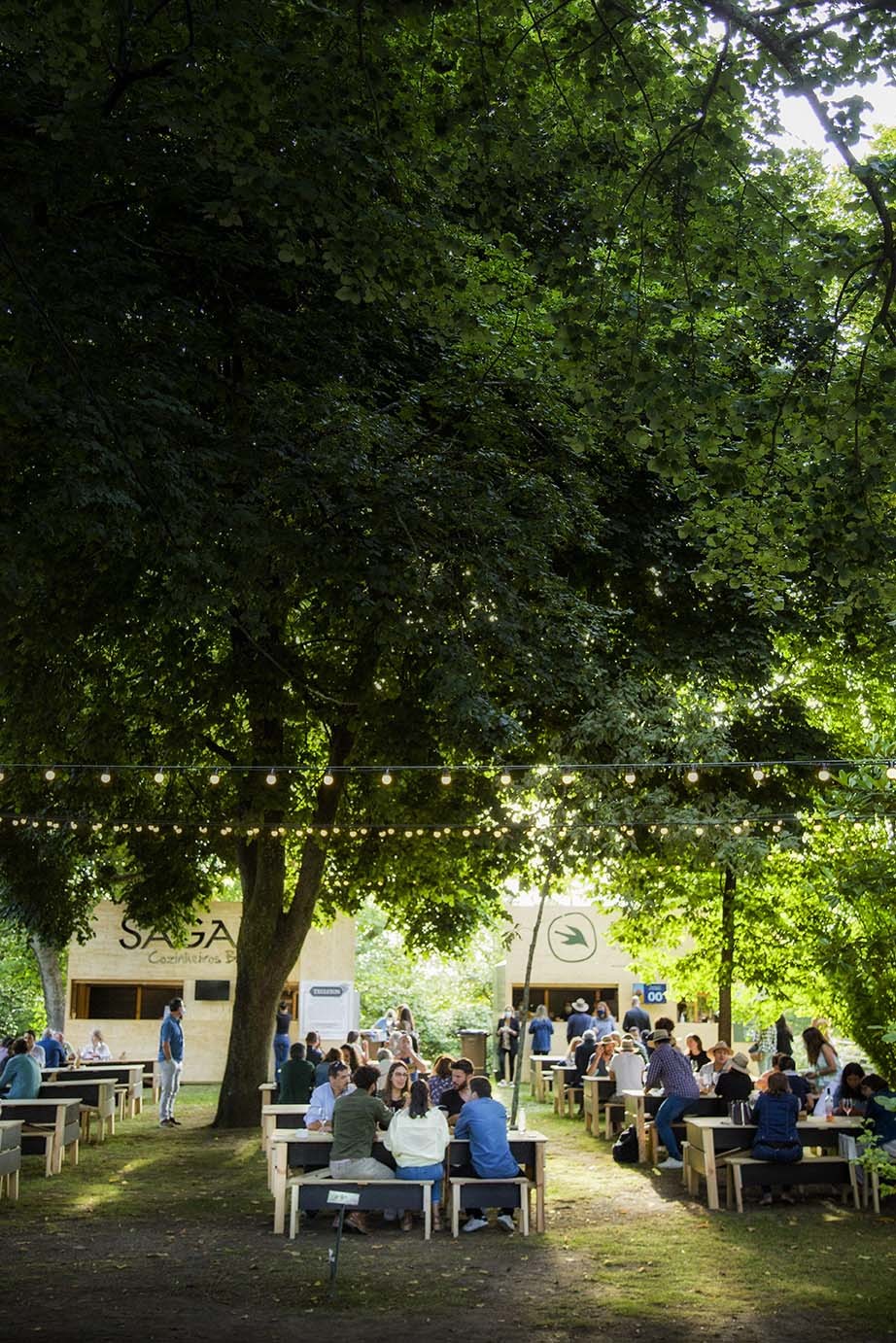 Atenção, Porto. Este fim de semana há concertos grátis, comida e bebida nos Jardins do Palácio de Cristal