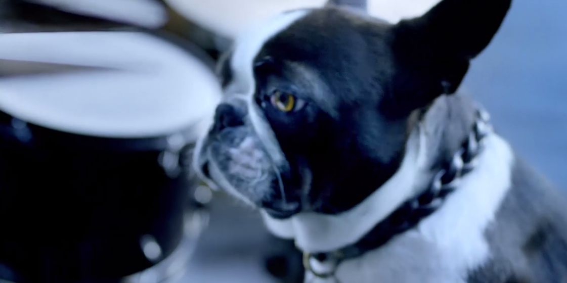 Quiz. Parece fácil, mas quase ninguém acerta no nome destes 15 frutos. Faça o teste