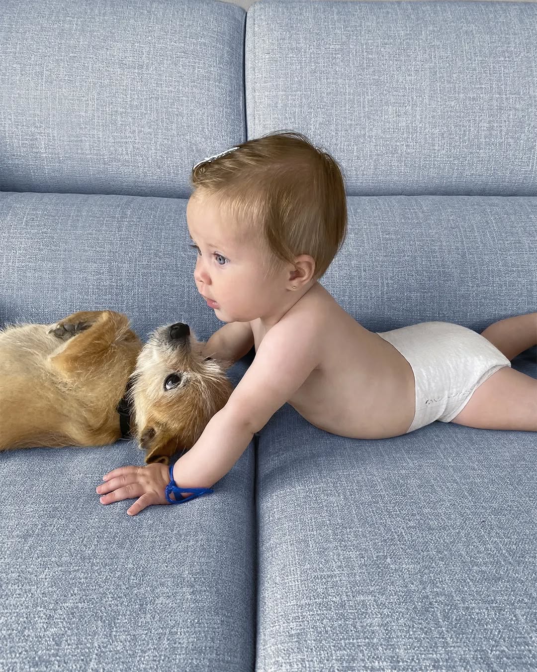 Alerta, fraldas grátis. Os pais só têm de seguir estes 4 passos simples para aproveitarem a promoção