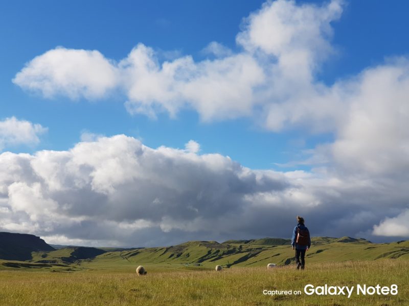 Ferrero Rocher anda à procura de novas caras. Saiba como pode ser o próximo a dizer “Bravo, Ambrósio!”