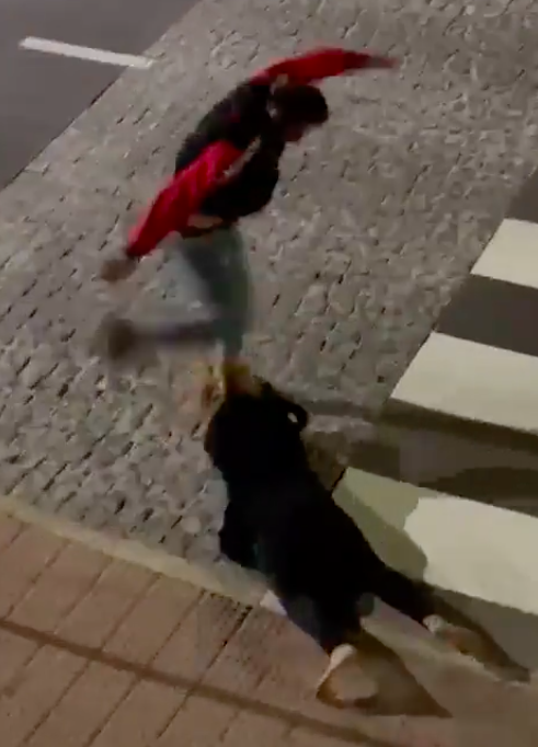 Homem pontapeia a cabeça da companheira na via pública, em Grândola. Imagens são chocantes